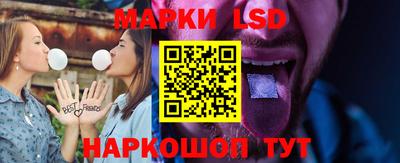 spice Кингисепп