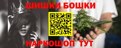 spice Кингисепп