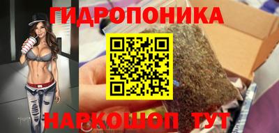 spice Кингисепп