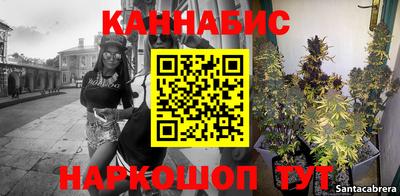 spice Кингисепп