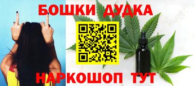 spice Кингисепп
