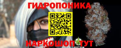 apvp Кинель