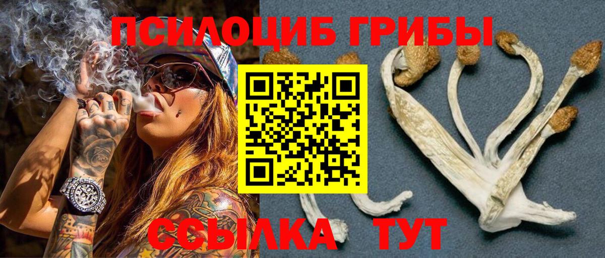 Галлюциногенные грибы GOLDEN TEACHER Шадринск