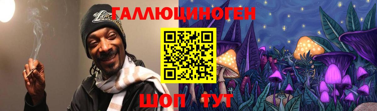 Шадринск  Галлюциногенные грибы GOLDEN TEACHER  Псилоцибиновые грибы Psilocybe  Вход с VPN 